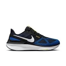 Nike Zoom Structure 25 | The Running Shop